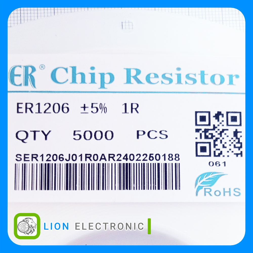 RES1206 1R 5%