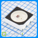WS2813B-B